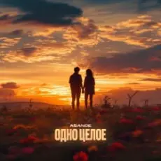 Обложка: ASANDE - Одно целое