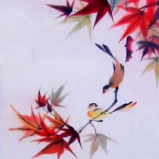 Обложка: Мой Сосед Лао Цзы - Wind Star