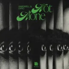 Обложка: Hardwell & Dyro - Not Alone