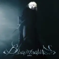 Обложка: K Lu - Black Vitality