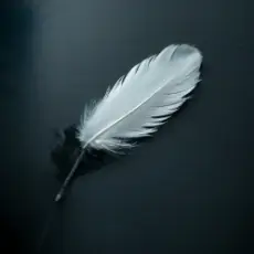 Обложка: Enarvynn - Падший герой