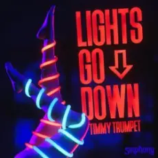Обложка: Timmy Trumpet - Lights Go Down