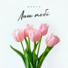 Обложка: BURLA - Лиш тобі