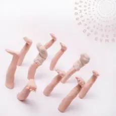 Обложка: PALC - Во дворе