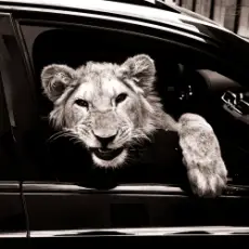 Обложка: MACAN & Kiliana - Спокойной ночи