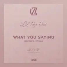 Обложка: Lil Uzi Vert – What You Saying