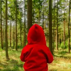 Обложка: Joris Voorn - Ringo