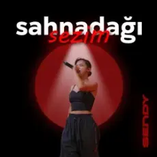 Обложка: Sendy - Sahnadağı sezim