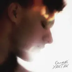 Обложка: Erika - Relations (Original Radio Mix)