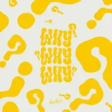 Обложка: Tanaka & Lucas Estrada - WHY?