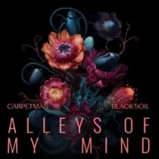 Обложка: Carpetman & Black Soil - Alleys of My Mind