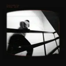 Обложка: Electrobirds – Вітер, неси