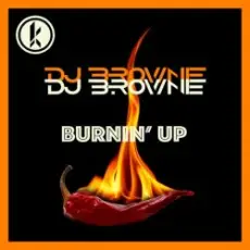 Обложка: DJ Brownie - Burnin Up