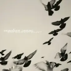 Обложка: Venetian Snares - Swindon