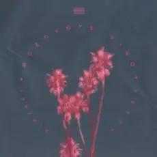 Обложка: Feduk feat. Элджей - Розовое вино