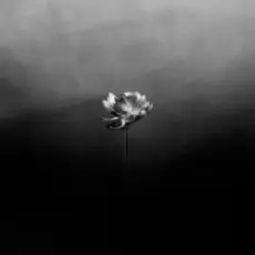 Обложка: Little Simz - Young