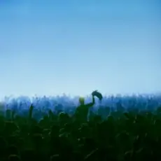 Обложка: Duke Dumont - I Need You Now