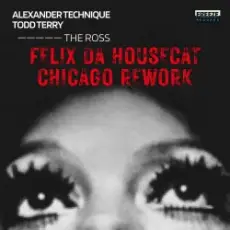 Обложка: Felix Da Housecat - What Does It Feel Like