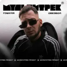 Обложка: Гошуля & МУЛЬТИТРЕК - Обезбол