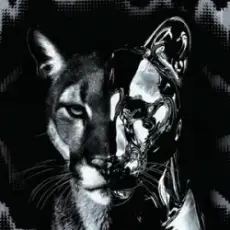 Обложка: DJ HARDWICK – WHAT THE FRICK (Super Slowed)