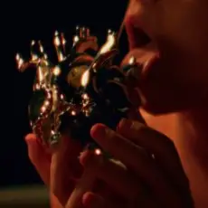 Обложка: Aurora - Starvation (ANNA Remix)