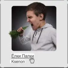 Обложка: Ksenon - Ёлки-палки