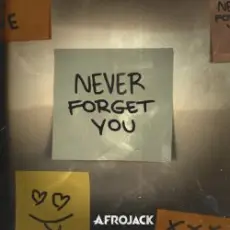 Обложка: AFROJACK - Never Forget You