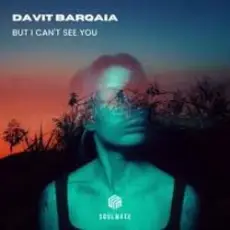 Обложка: Davit Barqaia – But I Can t See You