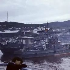 Обложка: Elements of Dust - Exhale