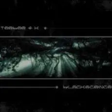 Обложка: Teebee and K - Nightstalker