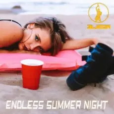 Обложка: ELIGOR – Endless Summer Night