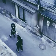 Обложка: Апатія & SadSvit - Естафета страждань