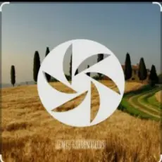 Обложка: FEWZ – Golden Fields