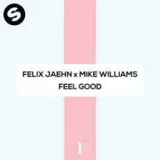 Обложка: Felix Jaehn x Mike Williams - Feel Good