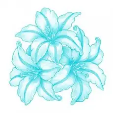 Обложка: Ant+Shift - Пропаганда