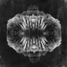 Обложка: Owl Vision - Draug