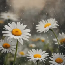 Обложка: " Iskander " – Любви Мечты