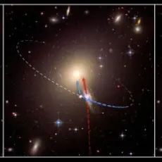 Обложка: Spriticatcher - Galactik Flies