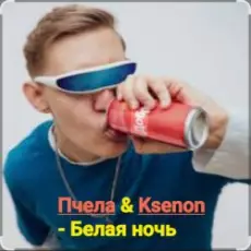 Обложка: Пчела & Ksenon - Белая ночь