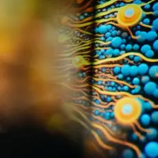 Обложка: Joris Voorn - Tomorrow