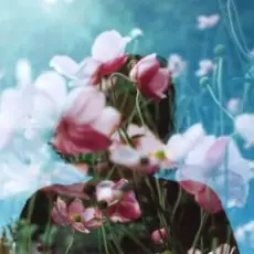 Обложка: Bosnia & Михаил The Bojarski - Without Chance