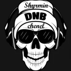 Обложка: Drumsound & Bassline Smith - Pump It Up