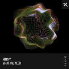 Обложка: Ritchy – What You Need
