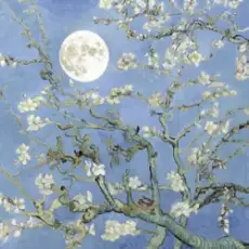 Обложка: JVKE & JEON SOMI - moonboy