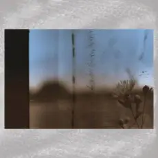 Обложка: Тимофей Малышев - И камнем вниз