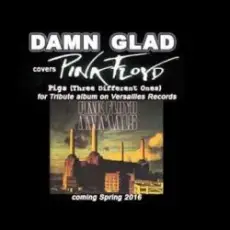 Обложка: DAMN GLAD - Pigs