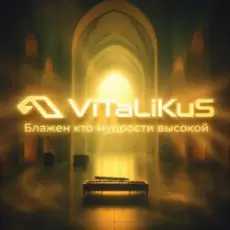 Обложка: ViTaLiKuS - Блажен кто мудрости высокой