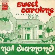 Обложка: Neil Diamond - Sweet Caroline