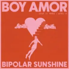 Обложка: Boy Amor & Bipolar Sunshine - Love It When I Need It
