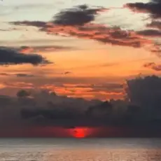 Обложка: Alex Kontsov & Sun - The Rapture Pt.IV